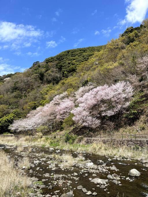 御浜岬の至福を一身に味わう 一軒家貸切宿で贅沢なバーベキューを楽しみながら夕陽に染まる戸田湾の美しさを満喫 Numazu Ngoại thất bức ảnh