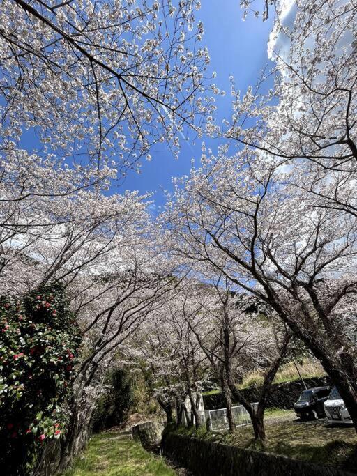 御浜岬の至福を一身に味わう 一軒家貸切宿で贅沢なバーベキューを楽しみながら夕陽に染まる戸田湾の美しさを満喫 Numazu Ngoại thất bức ảnh